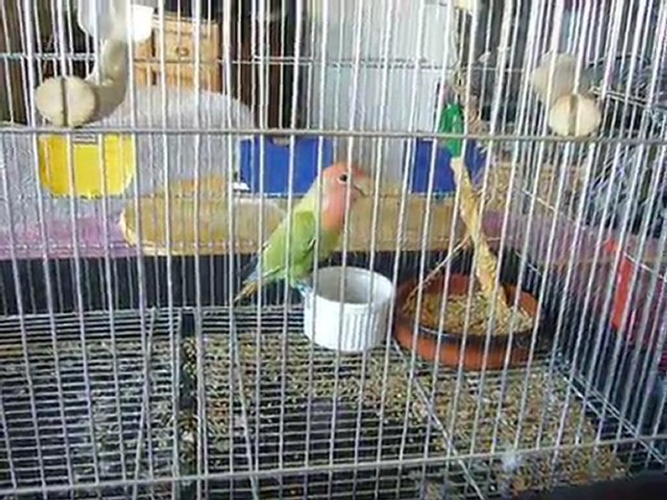Caroline et Diégo