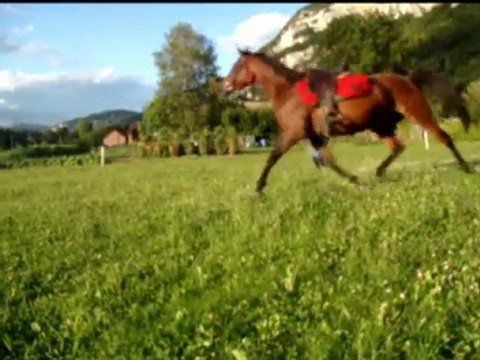 20110808 - Détente Reg