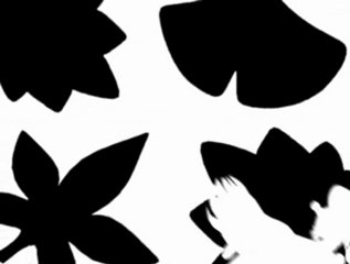 【東方】Bad Apple!! ＰＶ【影絵】