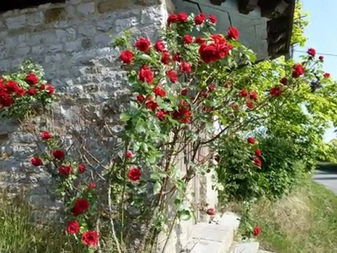 année 2011 - mois de mai - nº 28