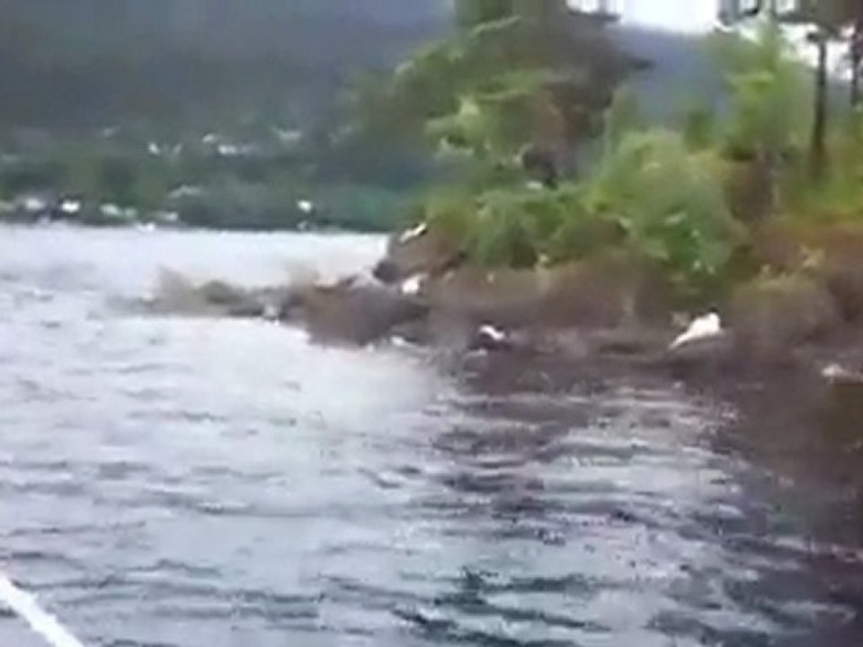 Video Exclu du massacre en Norvège