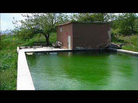 Musa Eroğlu & Yusuf Gül - Yemen Bizim Neyimize (Düet)