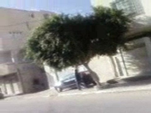 avenue bourguiba moknin monastir tunisie