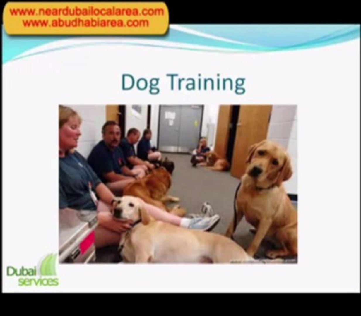 ⁣Veterinary Dubai | Pet Shop in Dubai