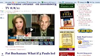 A Tour Of th Ron Paul Revolution Online