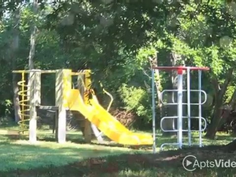 The Birches Apartments in Chesapeake, VA - ForRent.com