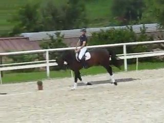 Contano saut Haras Birkhof 07 08 2011