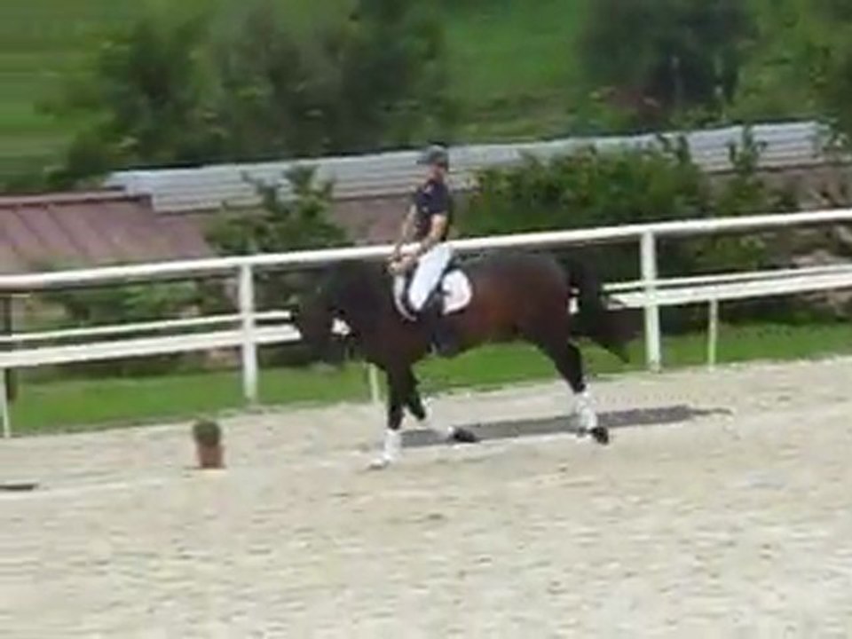 Contano saut Haras Birkhof 07 08 2011