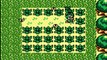 Link's awakening DX [3] Le génie