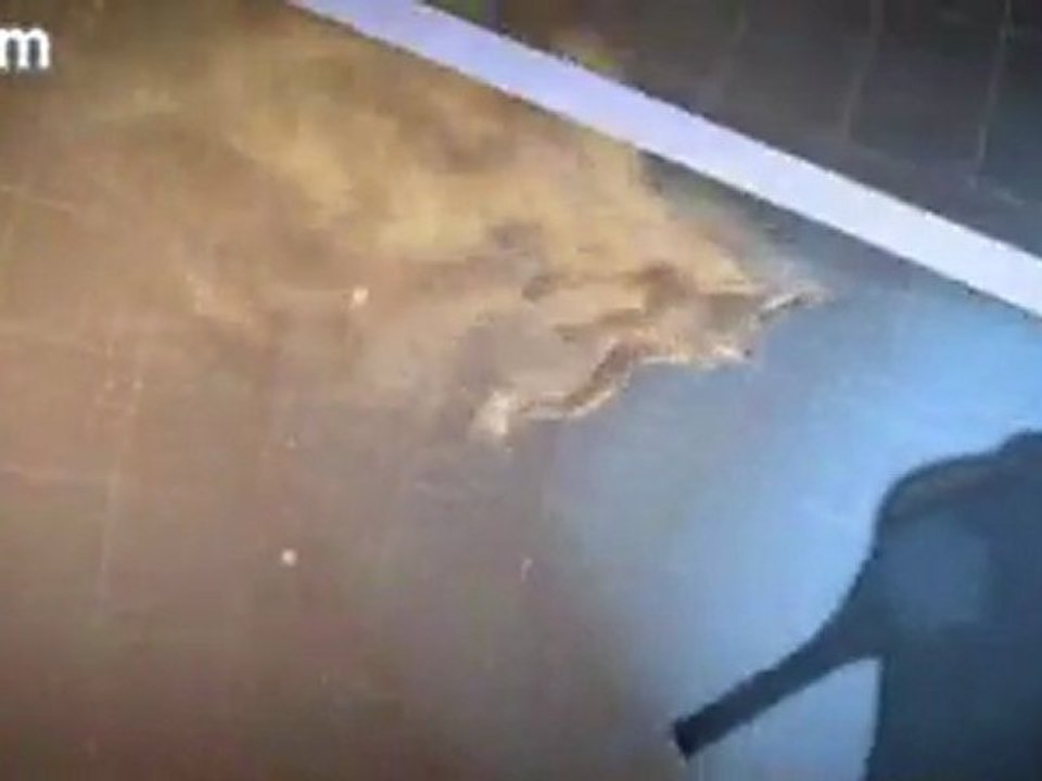 Quantum Of Solace - 01 - Watch32.Com