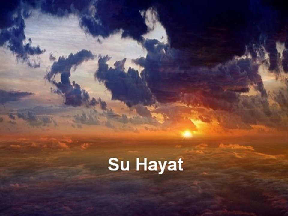 Su Hayat
