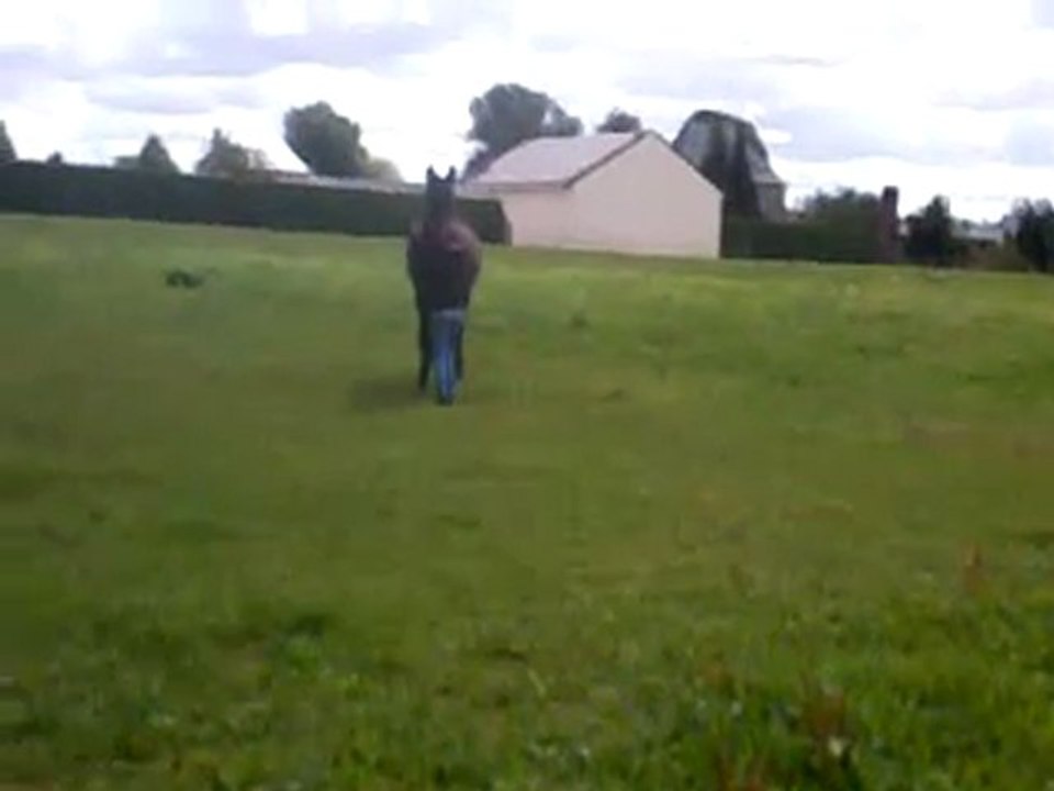 Vidéo0138