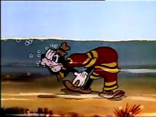 Goofy - Hawaiian Holiday