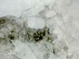 NASA  Tohoku Tsunami Creates Antarctic Icebergs