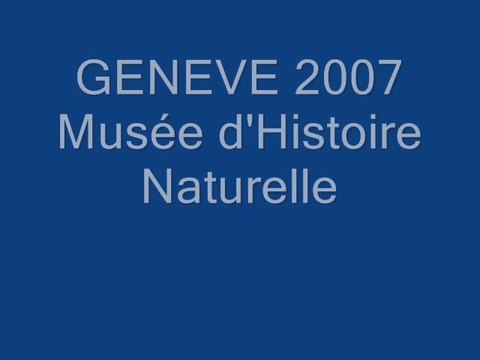 Musée d'histoire naturelle de Genève vacances 2007