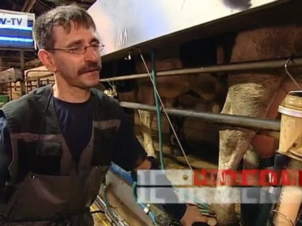 Economic success with contented cows | video of the day