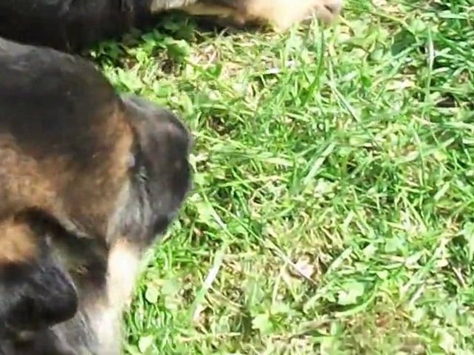 DSCF2233