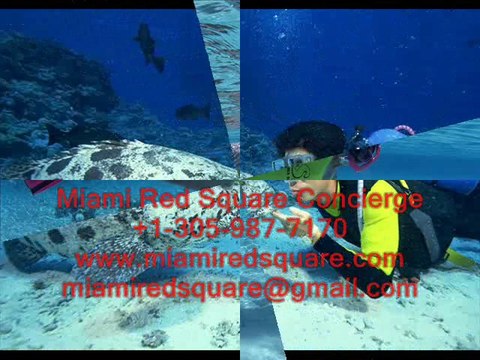 ЗАНЯТИЯ СПОРТОМ В МАЙАМИ, США.