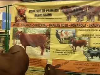 2_GANADERIA BOGA 2 AGOSTO 10 DE 2011