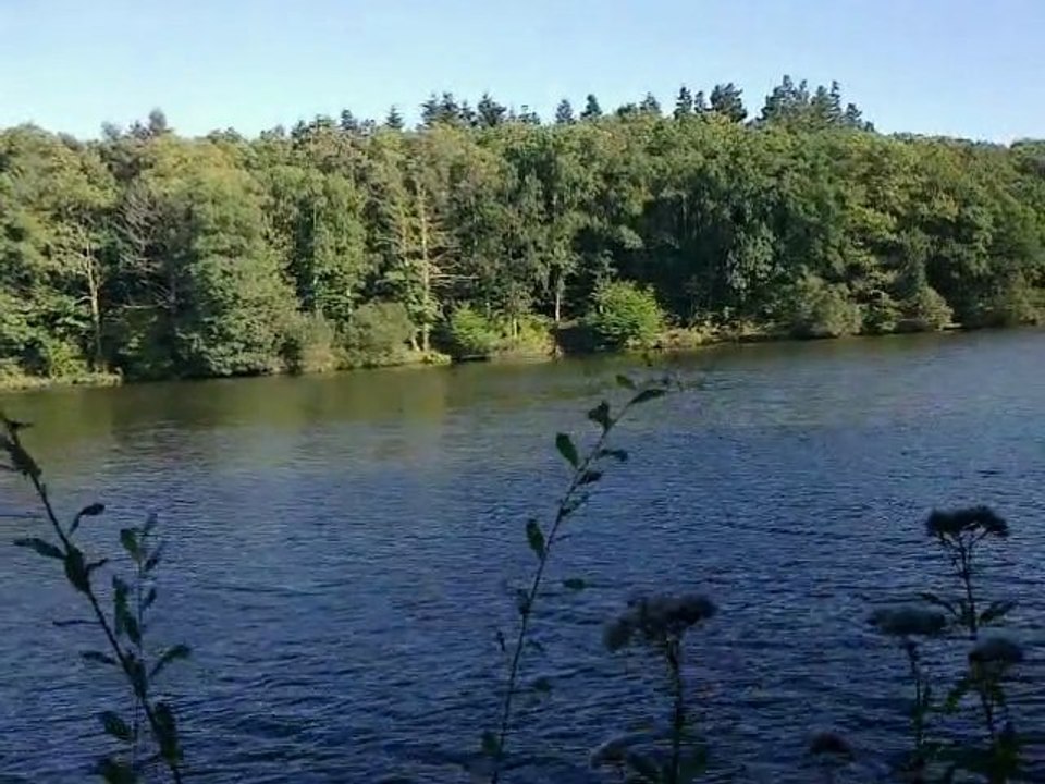Envie, besoin d'une pause. Bienvenue à SAVENAY