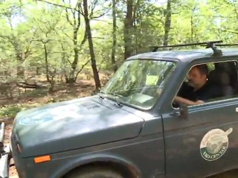 Sur l'île de Cres, en Croatie, un scientifique vole au secours des vautours fauves