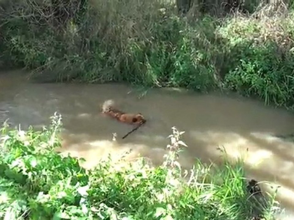 video-2011-08-07-16-32-32