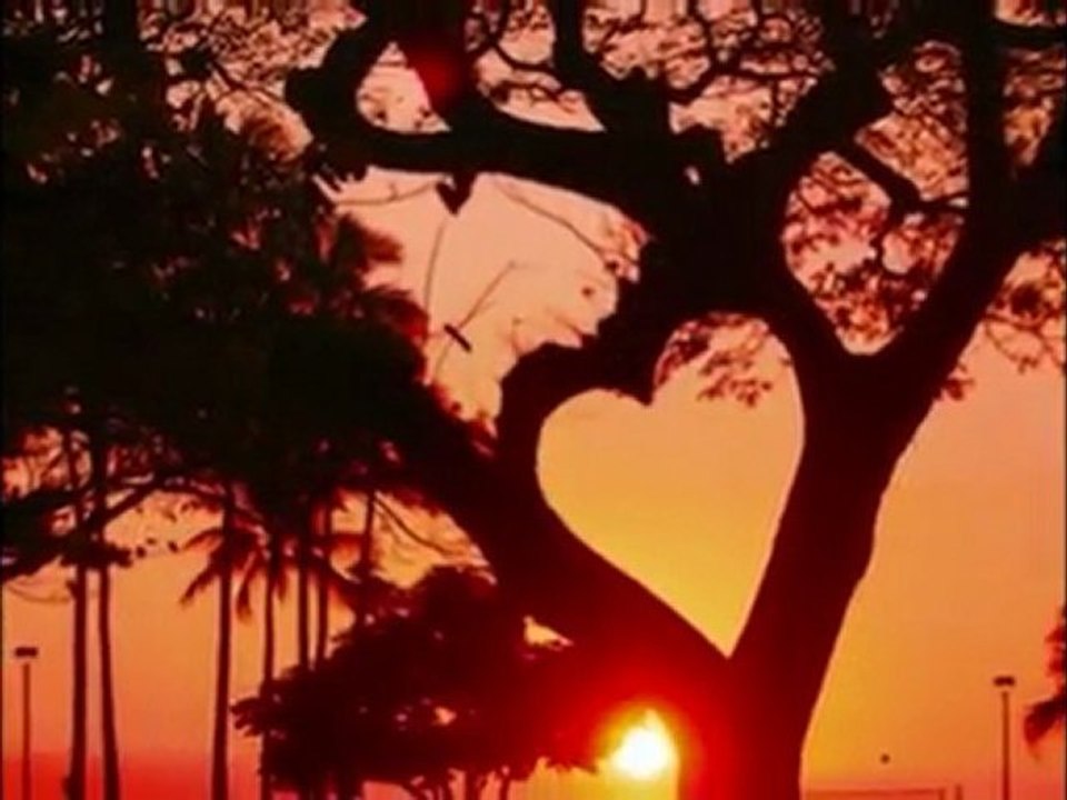 Özlem Özdil - Gönlüm Daglarda