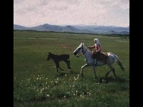 Cemile Sönmez yücedağbaşında (muş resimleri eşliğinde )Serbülent Öztürk yapımı