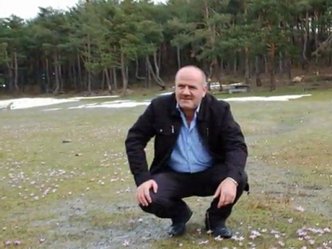 davut şahin&oy nereye nereye (sevdamız TOKAT)