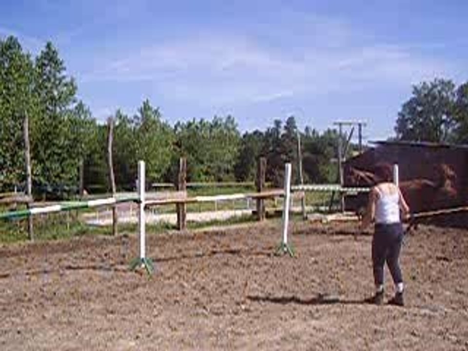 P7100015