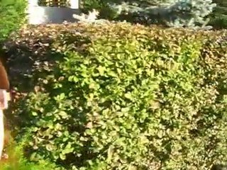 Lip Dub Enfoiros INSA (2009)