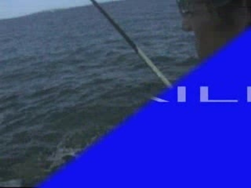 videonokill