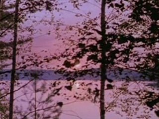 Los Amantes del Círculo Polar