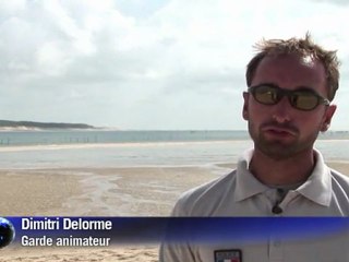 Arabic-web-Banc d'Arguin, cohabitation entre touriste et oiseaux