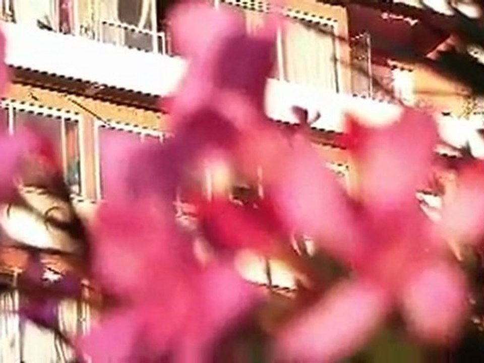 test jvc everio gz-hd7 HD video