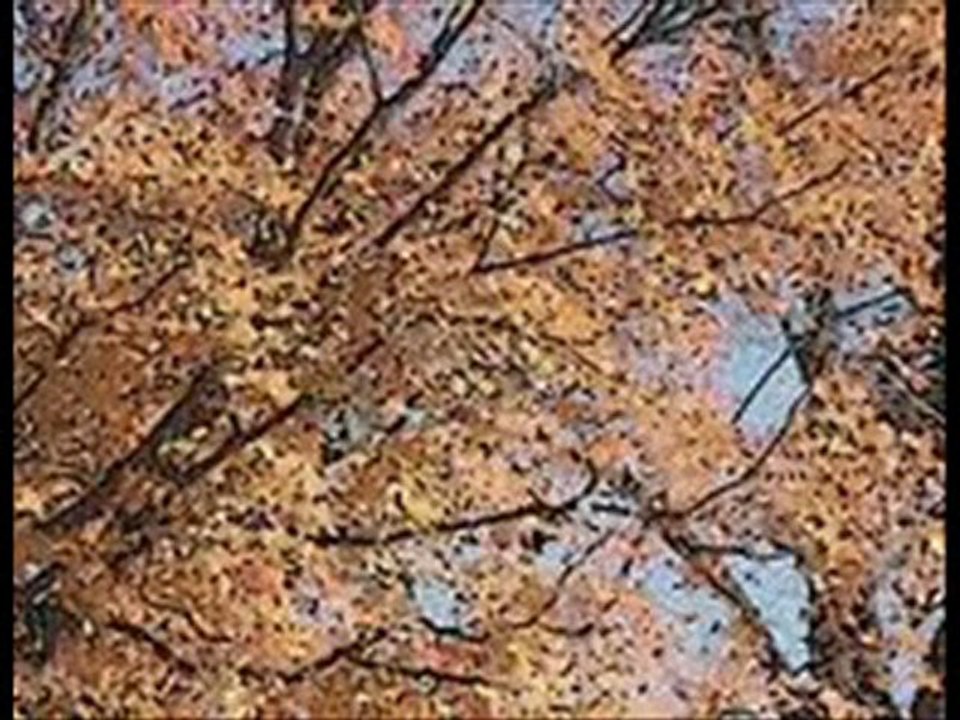 Make Money $$$ (Sell My House Orange County)