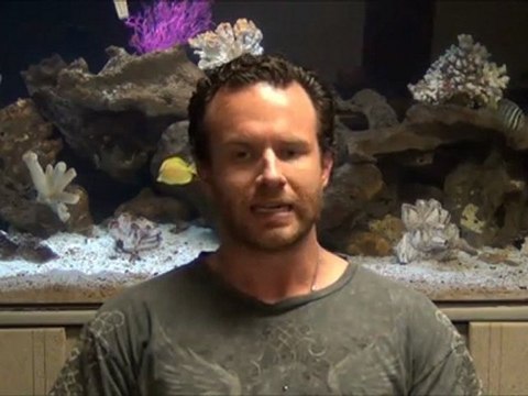 How long does a Phoenix Bail Bonds company hold on to collateral? Sanctuary Bail Bonds