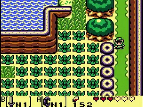 Link's awakening DX [4] Les feuilles d'or
