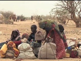 Le Journal du Mois - Août 2011