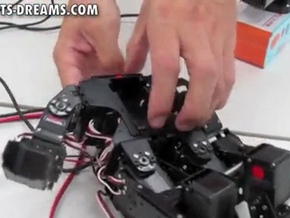 RIC-30 Humanoid Robot Battery Access