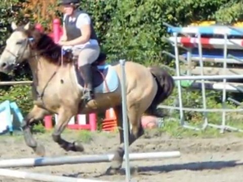 saut d'obstacle avec Idaho cheval d'1m65 au garrot