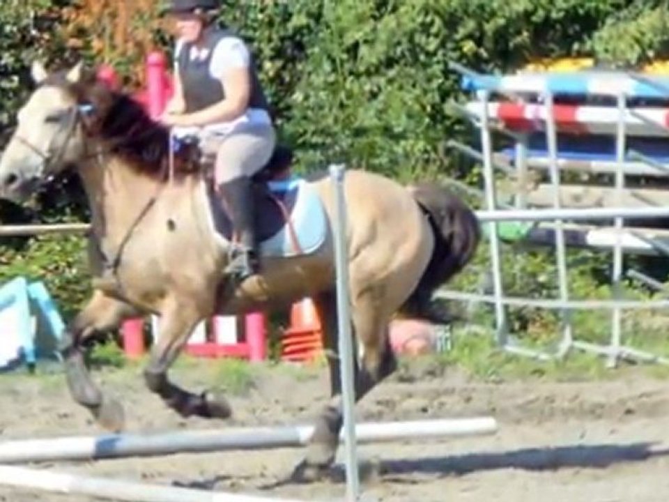 saut d'obstacle avec Idaho cheval d'1m65 au garrot