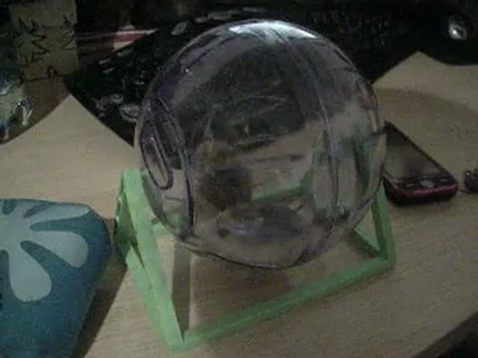 Hamtaro et Bijou