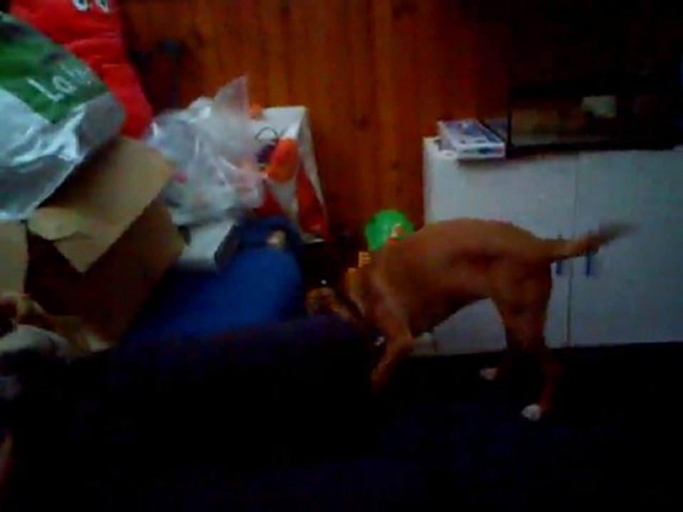 guimauve et son pouicpouic