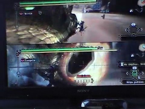 uragaan en mode arène sur monster hunter 3