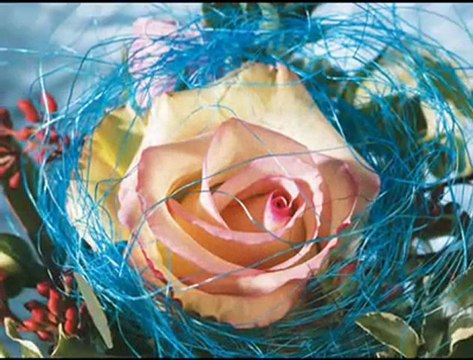 GİDİYORUM & KAZIM KOYUNCU