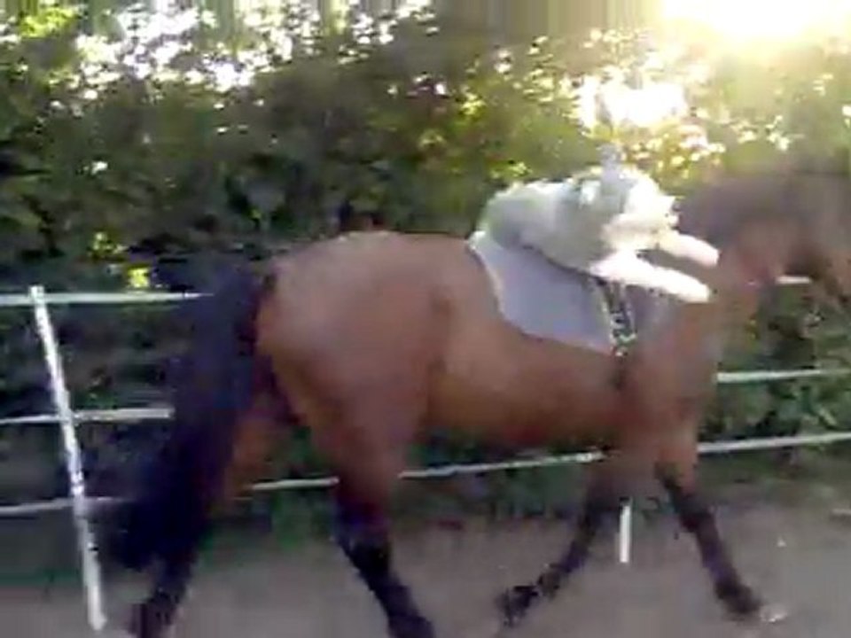 uxley liberté