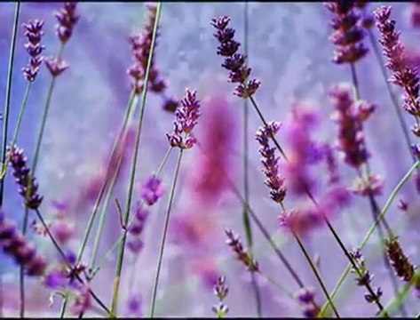 ÖMRÜMCE HEP ADIM ADIM & ZARA