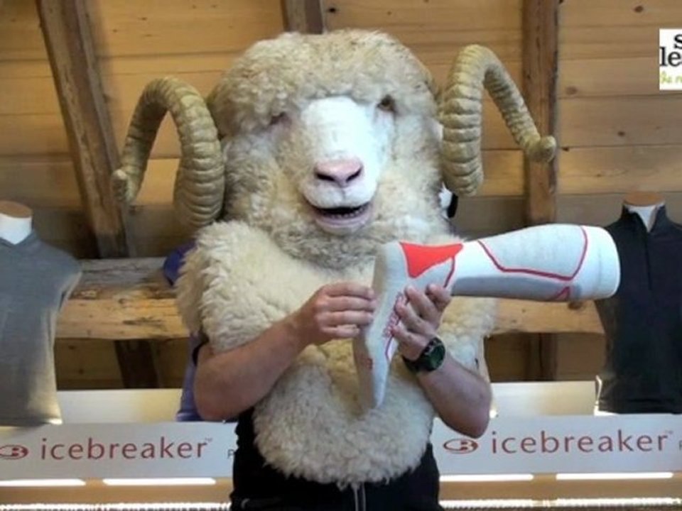 Snowleader présente les Sock ski lite + de Icebreaker