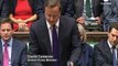 Cameron vows to tackle street gangs